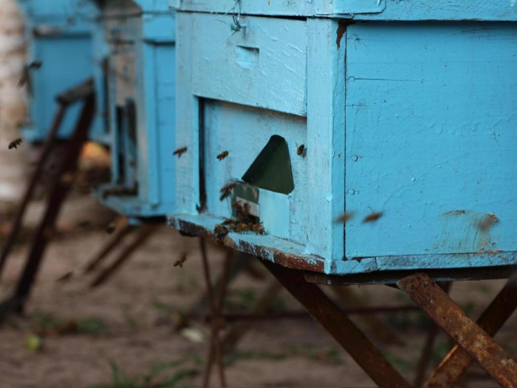 Pepper Farm Phu Quoc Bungalow 外观 照片