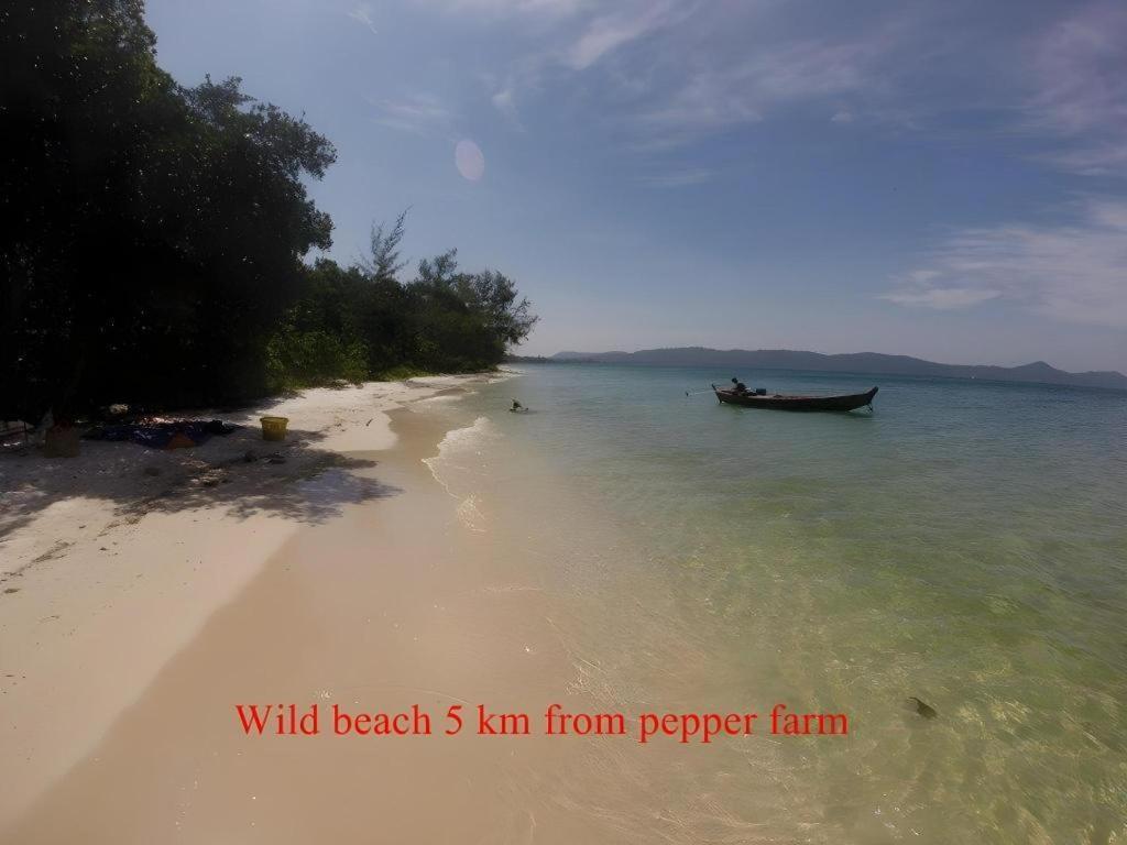 Pepper Farm Phu Quoc Bungalow 外观 照片