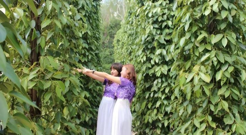 Pepper Farm Phu Quoc Bungalow 外观 照片