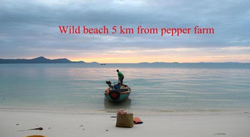 Pepper Farm Phu Quoc Bungalow 外观 照片