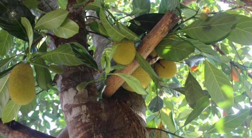 Pepper Farm Phu Quoc Bungalow 外观 照片